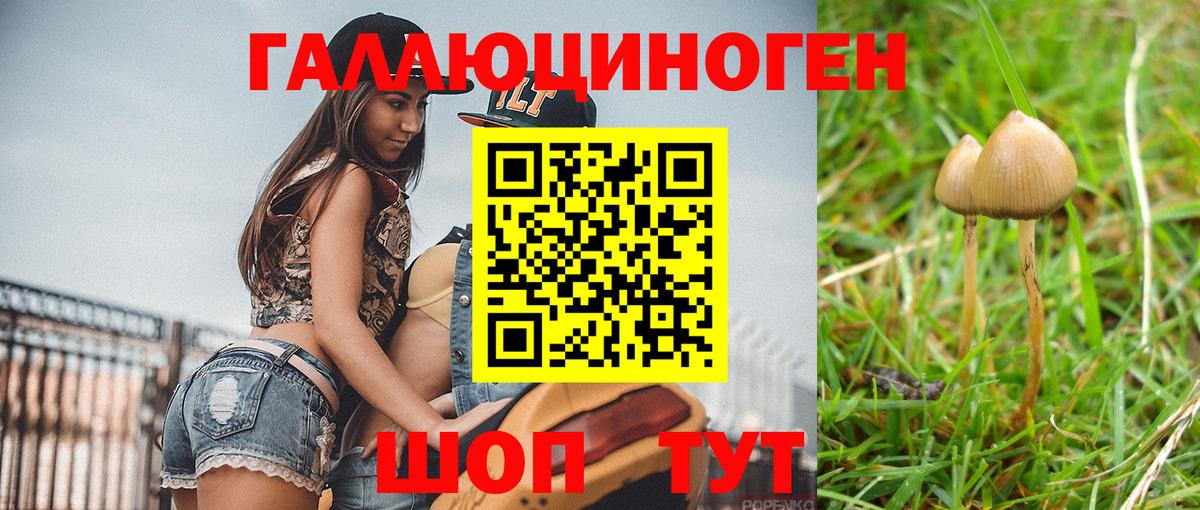 Новосибирск  Галлюциногенные грибы Psilocybine cubensis  Вход с VPN 